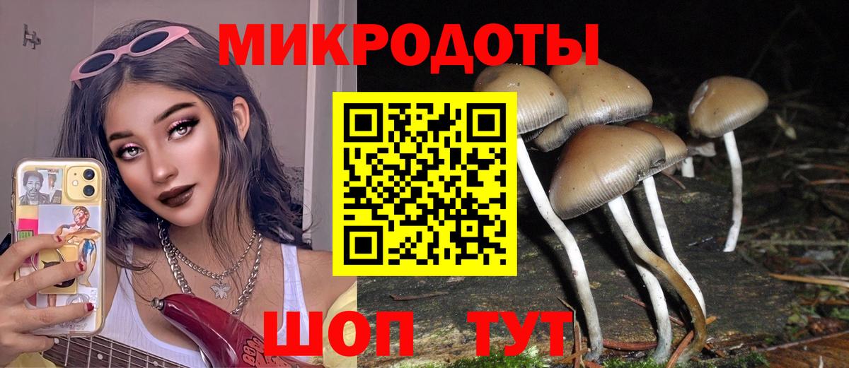Галлюциногенные грибы прущие грибы Самара